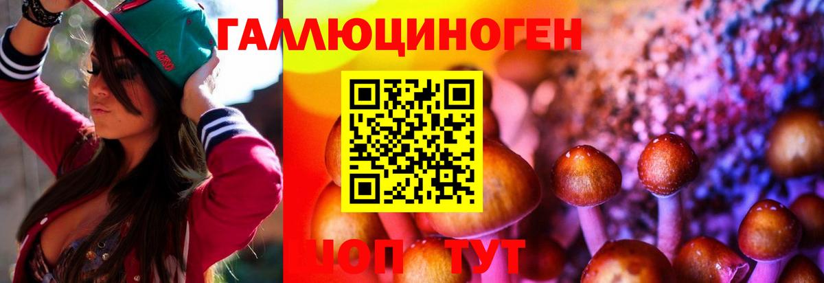 Псилоцибиновые грибы GOLDEN TEACHER  купить  цена  Псилоцибиновые грибы ЛСД  Шарыпово  Вход с VPN 